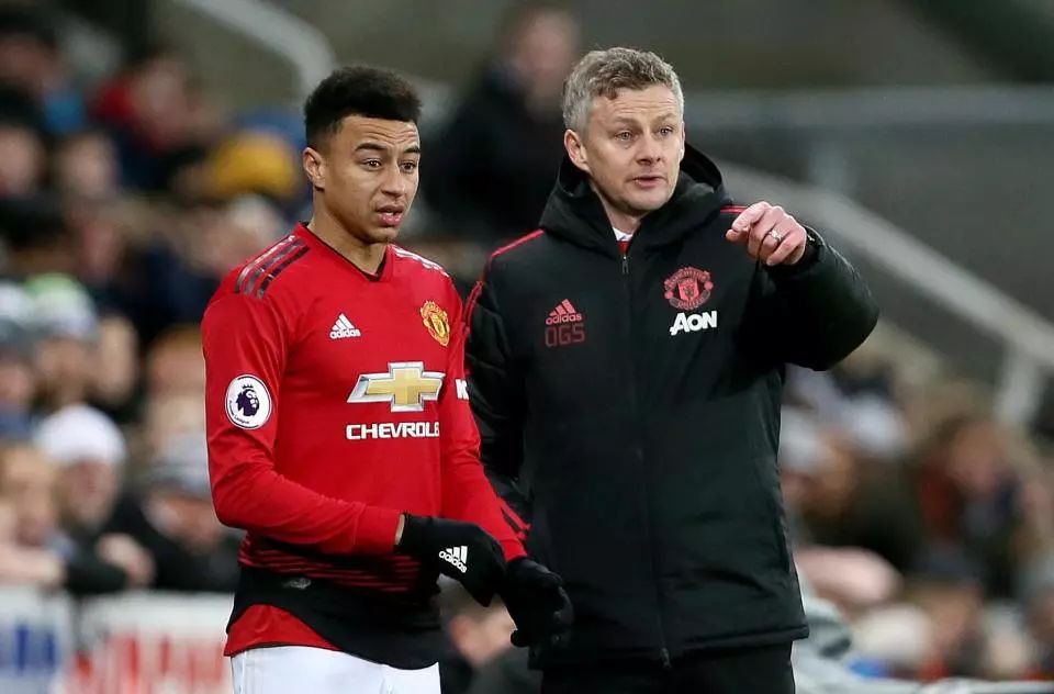 马刺在波波 马刺在波波